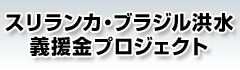 ���ݶ���׼�ٍ^�� �`������ۼު��